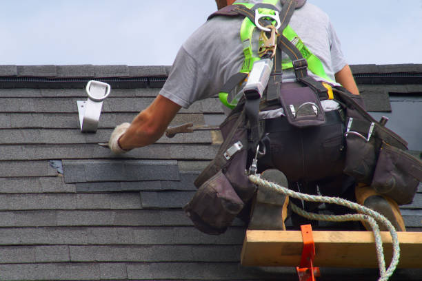 Best Residential Roof Replacement  in Wallington, NJ