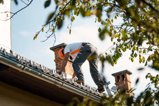 Residential Roof Replacement in Wallington, NJ