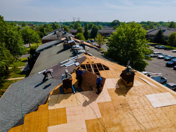Best Roof Gutter Cleaning  in Wallington, NJ